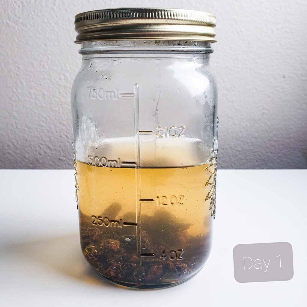 Yeast water day 1
