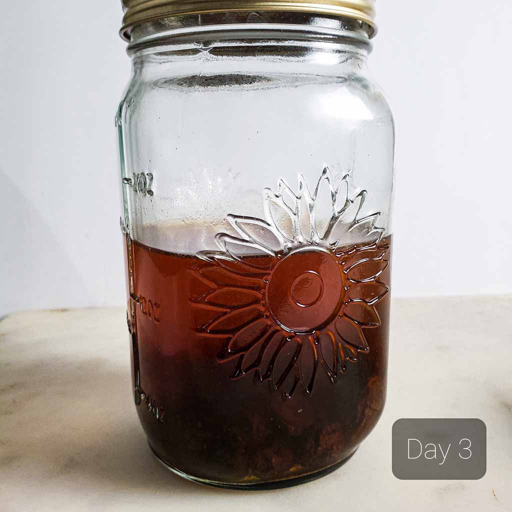 2 easy ways to make yeast water with fruits The Flavor Bells