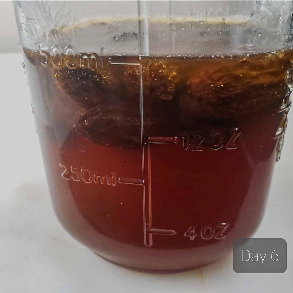 day6 of making wild yeast water