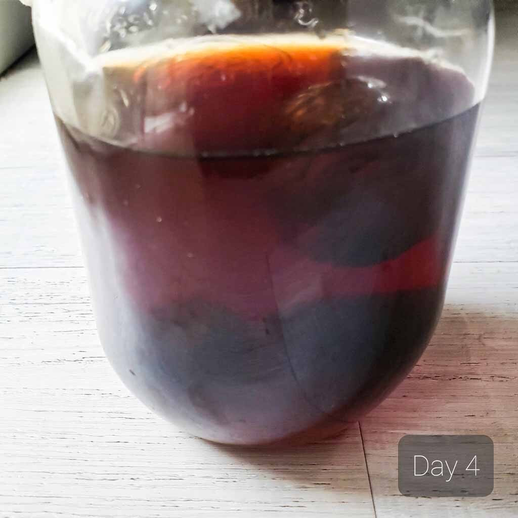 fruit yeast water day 4