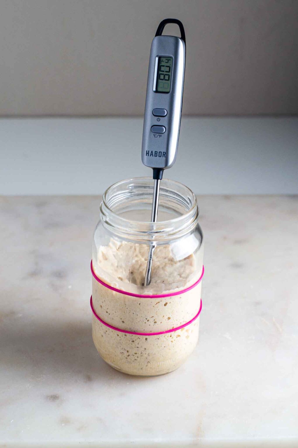 Guide to quick sourdough starter with minimum discard The Flavor Bells