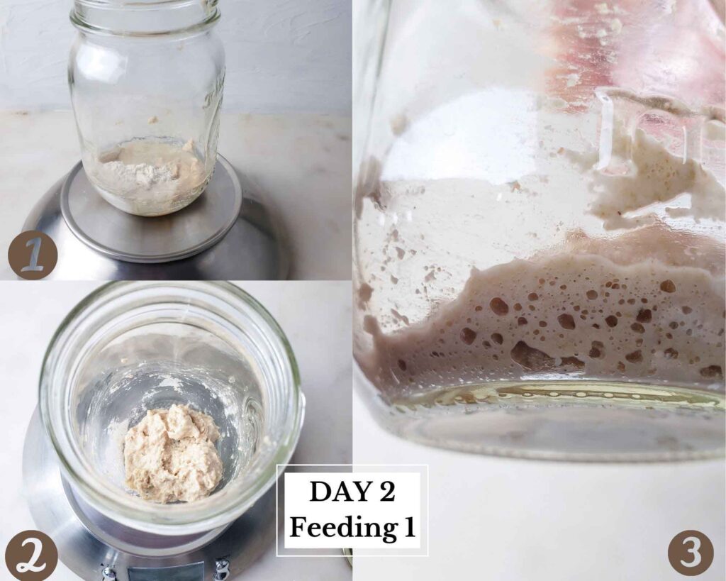 collage showing images of first feeding of the starter on day1
