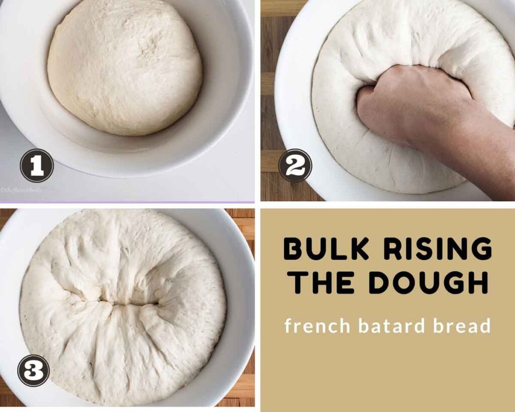 gallery of images showing bulk rising the dough