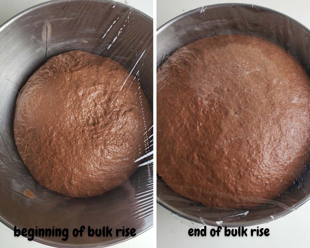 images showing dough before and after bulk rise