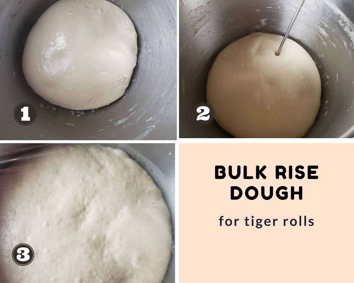 images showing various stages of bulk rise in the dough