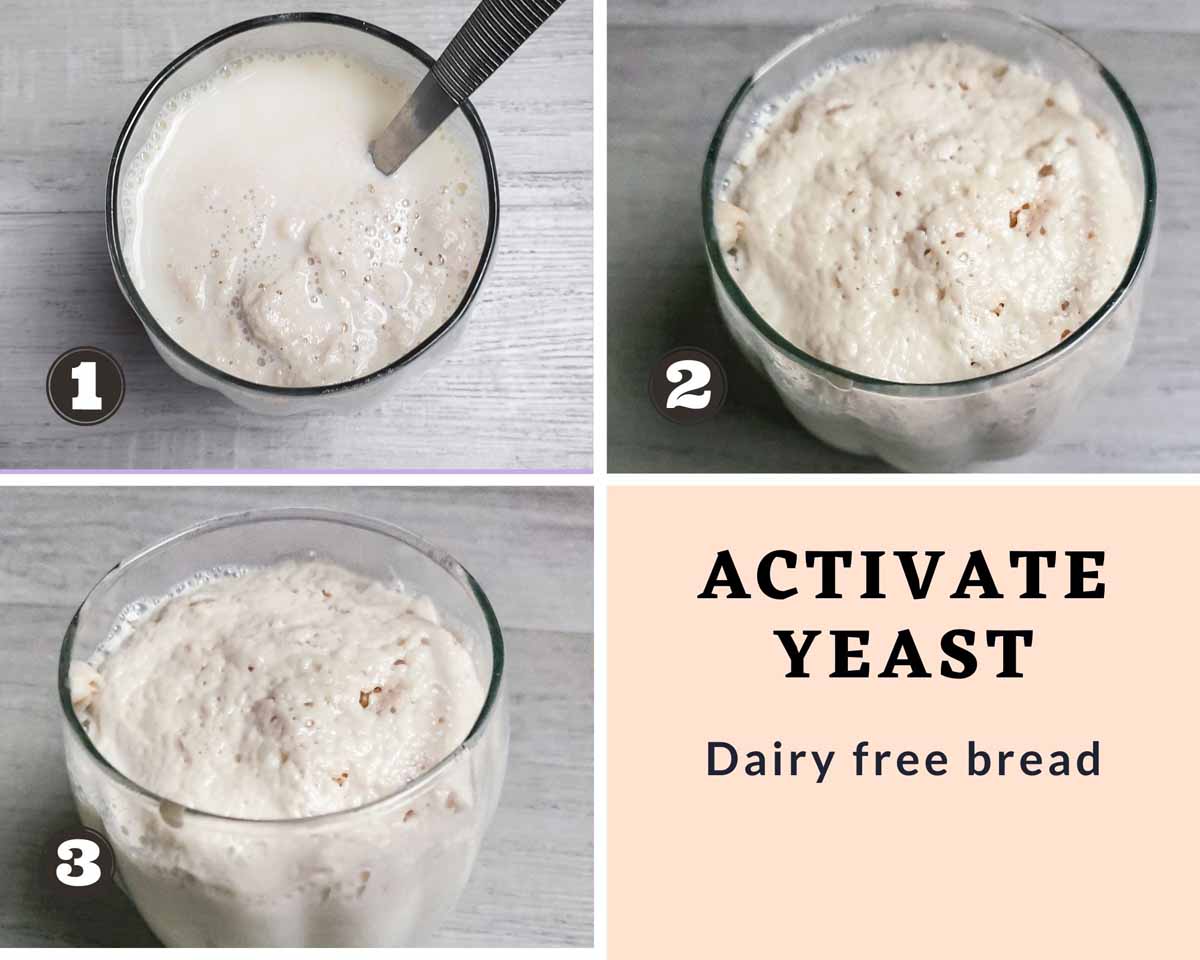 images showing blooming of yeast