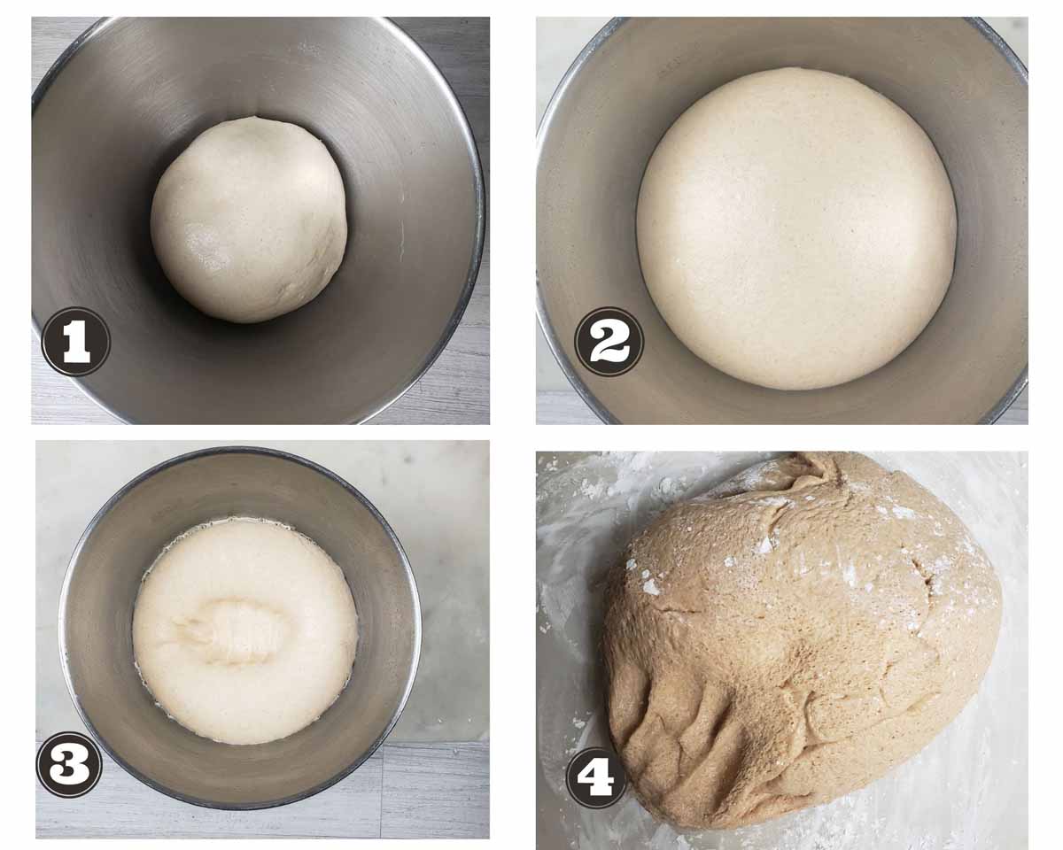 images showing stages of bulk fermentation for making dairy free bread