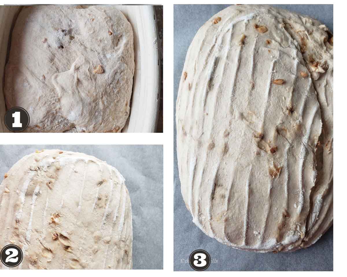 images showing shaping the sourdough bread