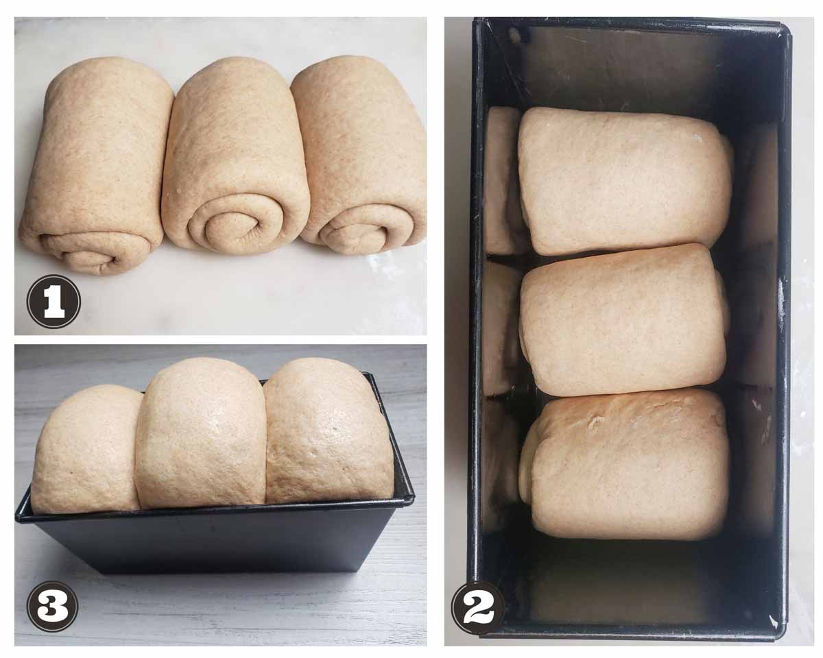 images showing second rise of the dough
