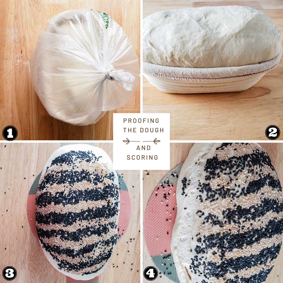 collage of images showing stages proofing and scoring the dough