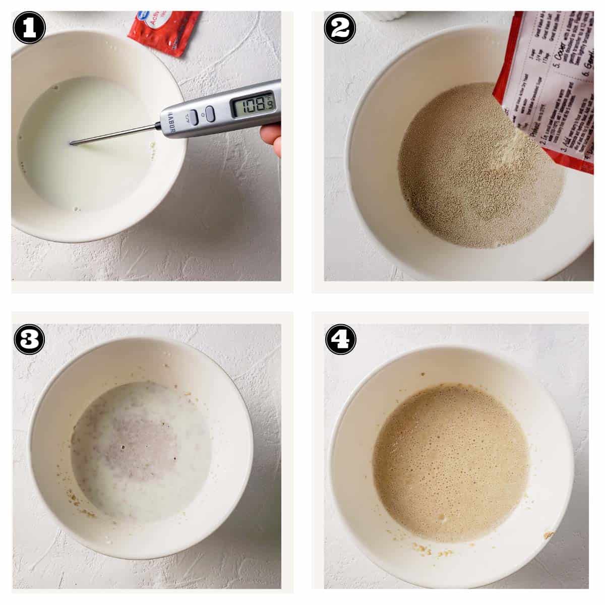 images showing process of blooming the active dryyeast
