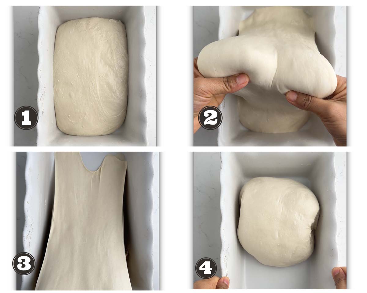 gallery of images showing coil folds in the dough of sourdough