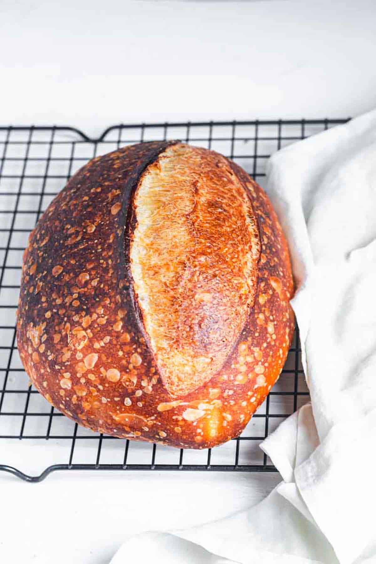 a sourdough bread loaf with simple scoring